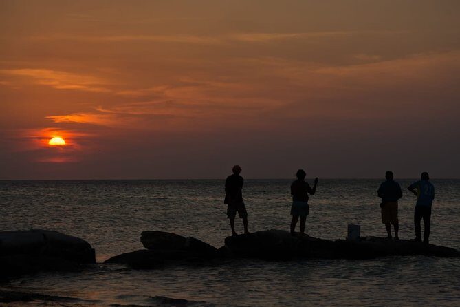 Cancun Airport to Holbox Transportation Private - Timing reality check: what you should expect on the day