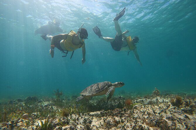 Cancun All Inclusive Catamaran Tour to Isla Mujeres - Why This Catamaran-to-Isla Mujeres Day Works for the Price