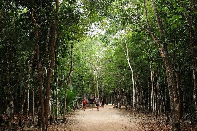 Cancun ATV Adventure, Horseback Riding, Zip Lines, and Cenote - Interactive cenote: the cooling-off moment that makes the whole day work