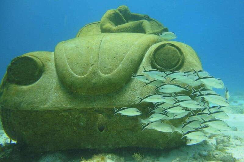 Cancun: Beginner Scuba Diving at Underwater Museum - Cancun Morning Check-In and the 8:00 AM Start