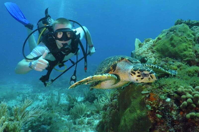 Cancun: Beginner Scuba Diving at Underwater Museum - Pool Theory and Water Skills: How Beginners Get Ready