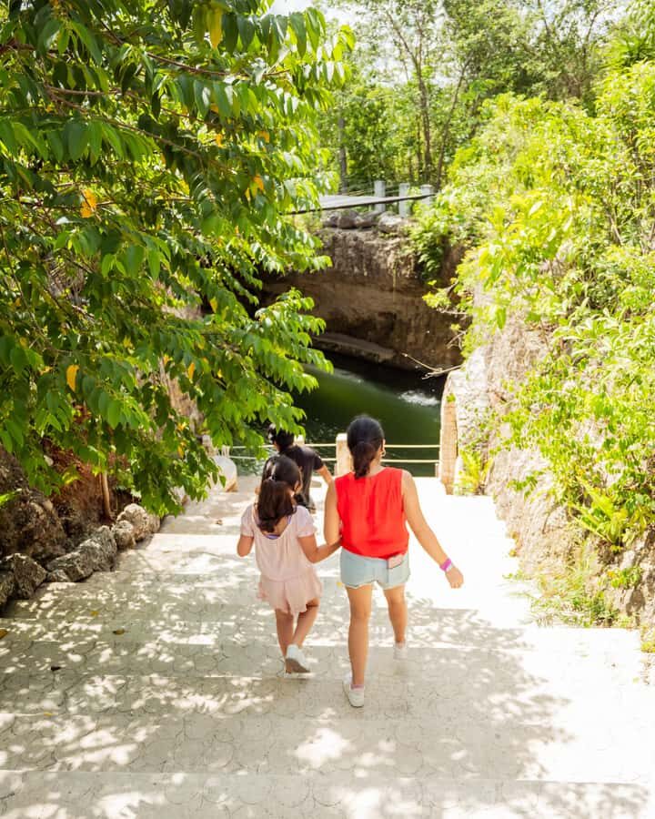 Cancun: Cenotes El Retoño entrance with transportation, lunch, and guided tour. - Transportation back to Cancun: you’ll be ready for evening plans