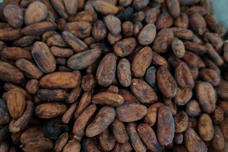 Cancún: Chocolate Making Class and Tasting with Chef - Key highlights at a glance