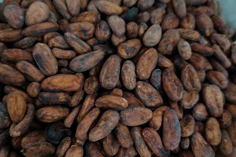 Cancún: Chocolate Making Class and Tasting with Chef - Practical tips for your best afternoon