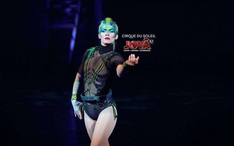 Cancún: Cirque du Soleil JOYÀ Entry Ticket and Transfer - What JOYÀ Really Is: A Cirque Dinner Show With a Monarch Story