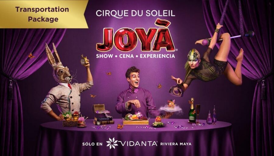 Cancún: Cirque du Soleil JOYÀ Entry Ticket and Transfer - Getting There: Transfer From Cancún and Playa del Carmen