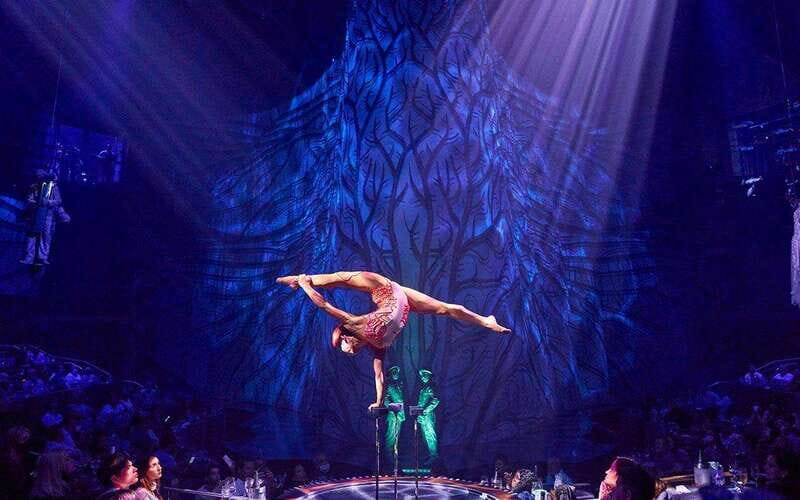 Cancún: Cirque du Soleil JOYÀ Entry Ticket and Transfer - Service Level: Transfers, Timing, and What to Expect When Things Go Sideways