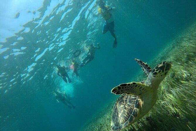 Cancun Combo Adventure: 4 Reef Snorkeling Stops & Parasailing - Who should book this Cancun Combo Adventure?