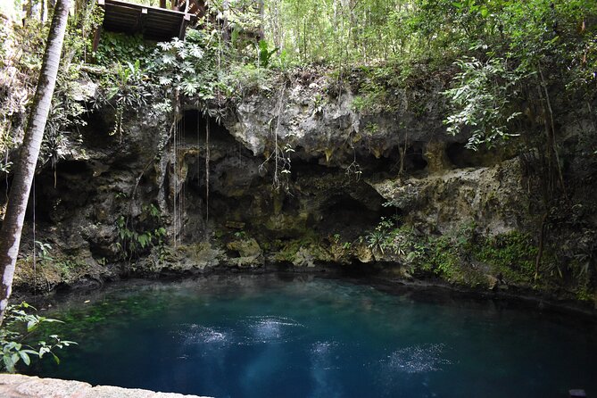 Cancun: Discover the Hidden Treasures: Exploring 3 Jungle Cenotes - Price and value at $53.25: what you get for the money