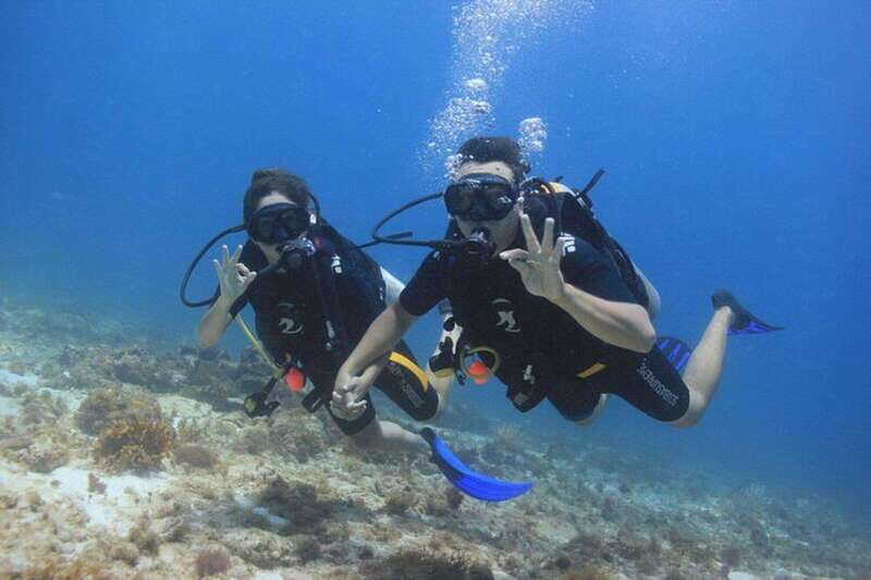 Cancun: Dive Underwater Museum & Manchones Reef - Manchones Reef: natural reef life after the art stop