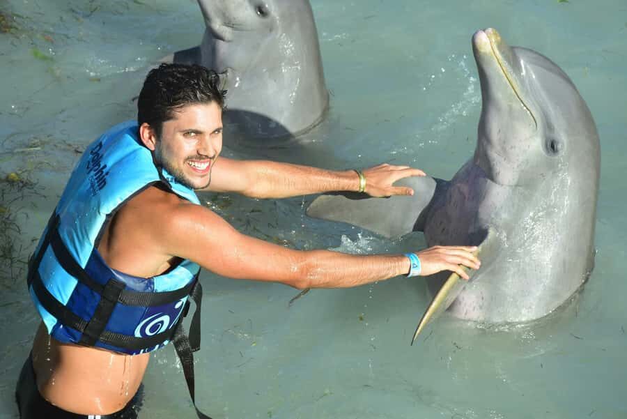 Cancun: Dolphin Encounter on Isla Mujeres and Garrafon Park - Key highlights to watch for