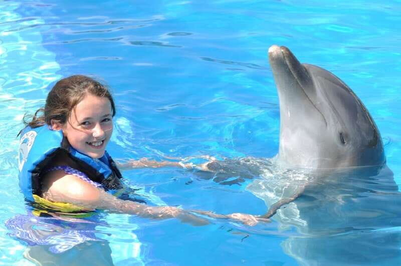 Cancún: Dolphin Encounter on Isla Mujeres with Buffet - Key Points That Matter Before You Go