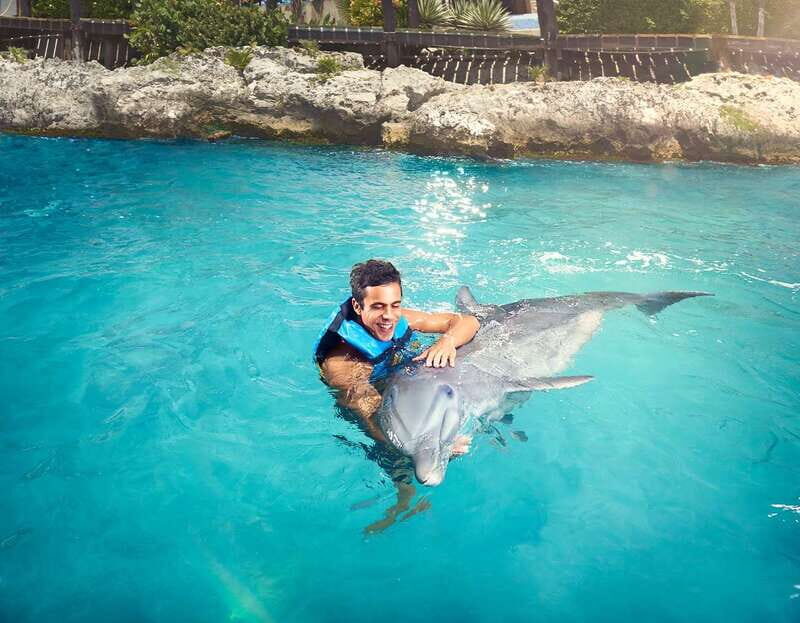 Cancún: Dolphin Encounter on Isla Mujeres with Buffet - Isla Mujeres Arrival: Getting From the Dock to Dolphin Discovery