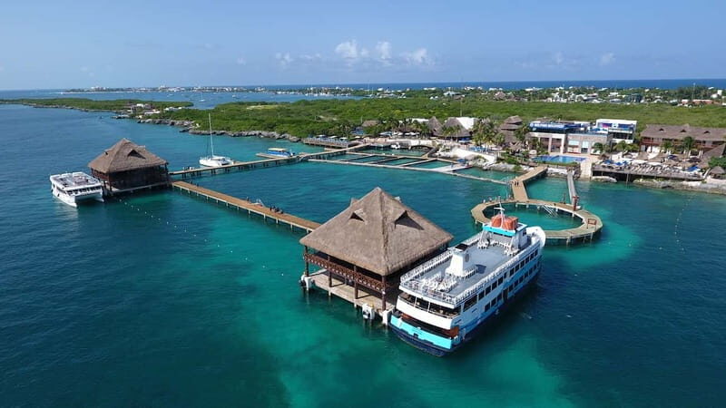 Cancún: Dolphin Encounter on Isla Mujeres with Buffet - The Dolphin Encounter: Hug, Handshake, and an Underwater Platform View