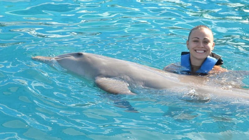 Cancún: Dolphin Encounter on Isla Mujeres with Buffet - Leaving Playa Langosta at 9:00: The Day’s Main Logistics