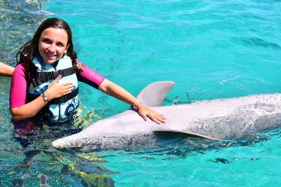 CANCUN: Dolphin Swim Adventure with buffet and soft drinks - Quick take: what matters most
