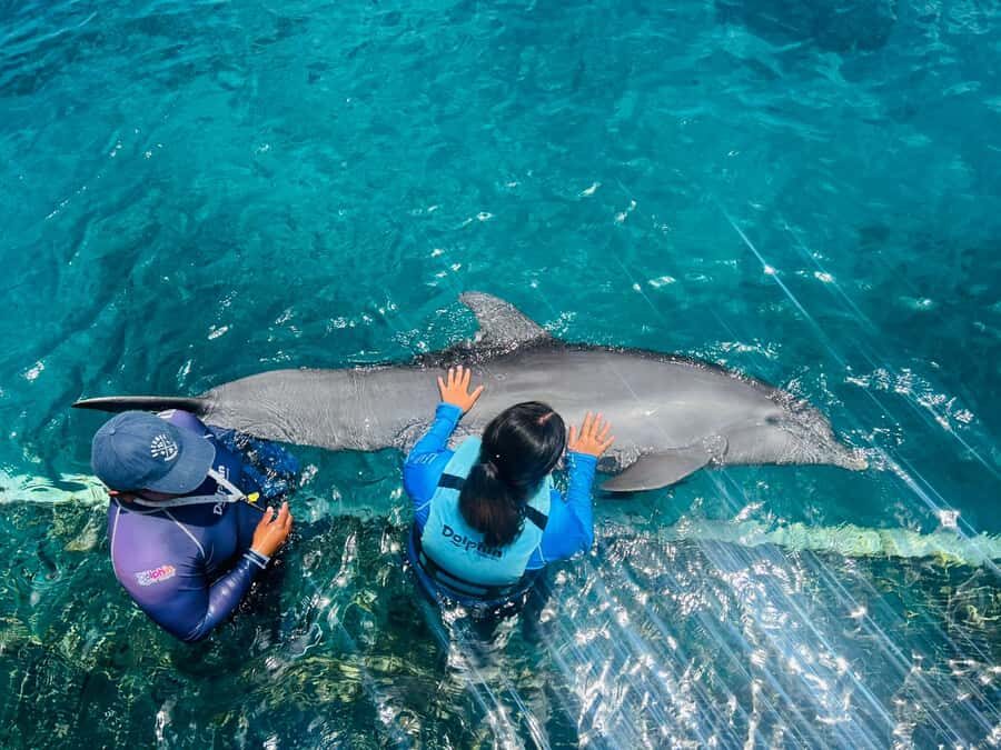 CANCUN: Dolphin Swim Adventure with buffet and soft drinks - Camera and photo rules: plan for memories without taking pictures in the water