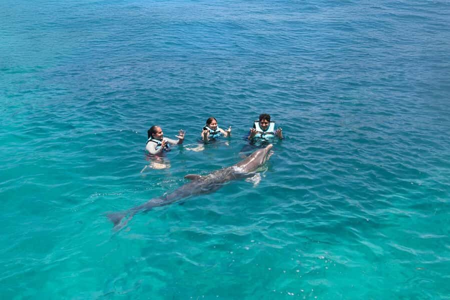Cancun: Dolphin Swim and Garrafon Reef Park Tour with Buffet - Price and value: is $159 a good deal or a gamble?