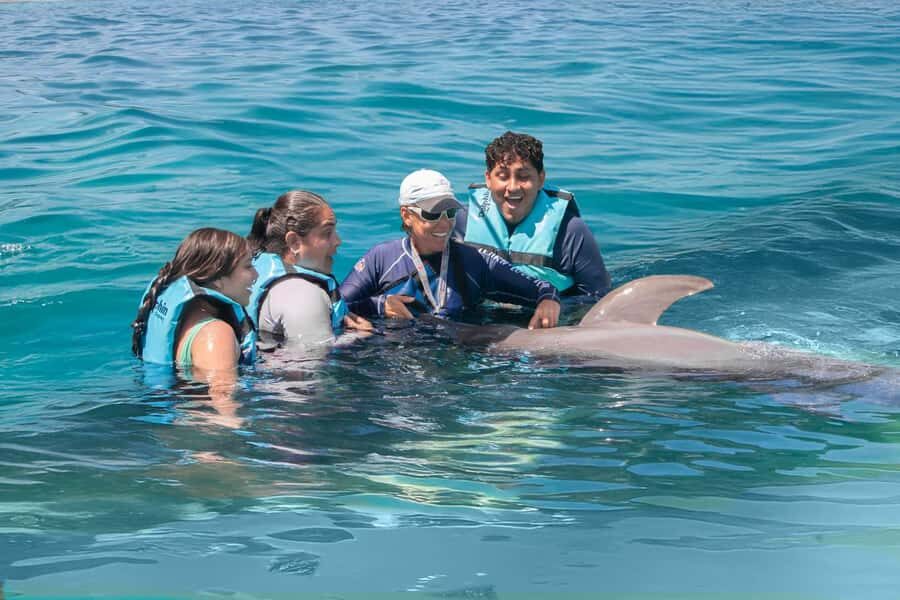 Cancun: Dolphin Swim and Garrafon Reef Park Tour with Buffet - Tips to keep the day smooth: what to bring and what to avoid