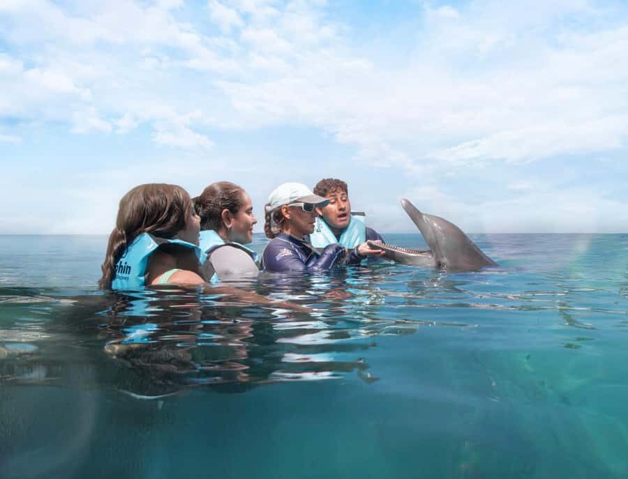Cancun: Dolphin Swim and Garrafon Reef Park Tour with Buffet - FAQ