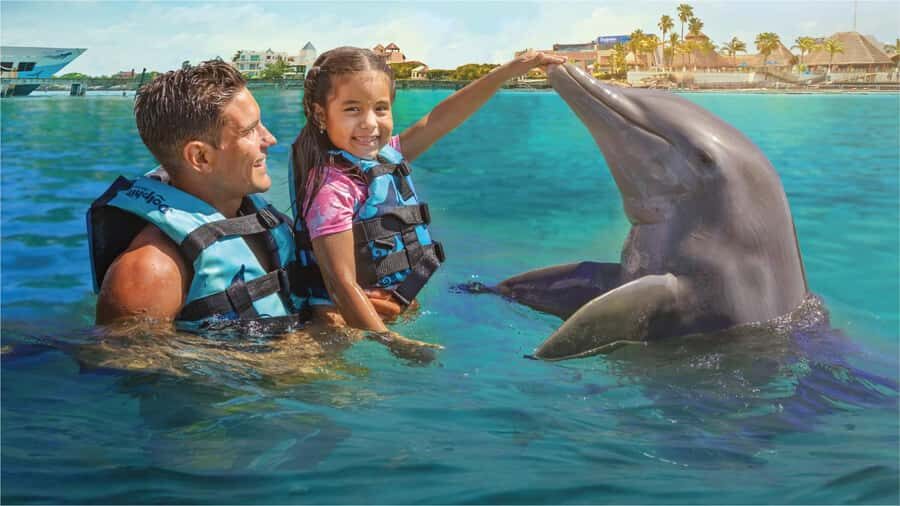Cancun: Dolphin Swim and Garrafon Reef Park Tour with Buffet - Dolphin Discovery Isla Mujeres: briefing, life jacket, and 50 minutes with dolphins