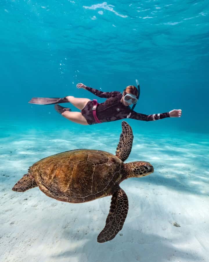 Cancun: Explore Tulum, swim with turtles, cenote, and snorkel in caves - Key points before you go