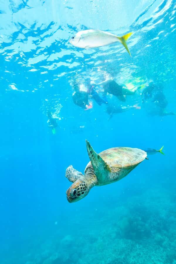 Cancun: Explore Tulum, swim with turtles, cenote, and snorkel in caves - How the day flows: 3 stops, 13 hours, and one busy schedule