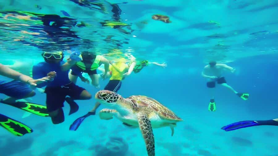 Cancun: Explore Tulum, swim with turtles, cenote, and snorkel in caves - What to bring: the stuff that makes water days painless