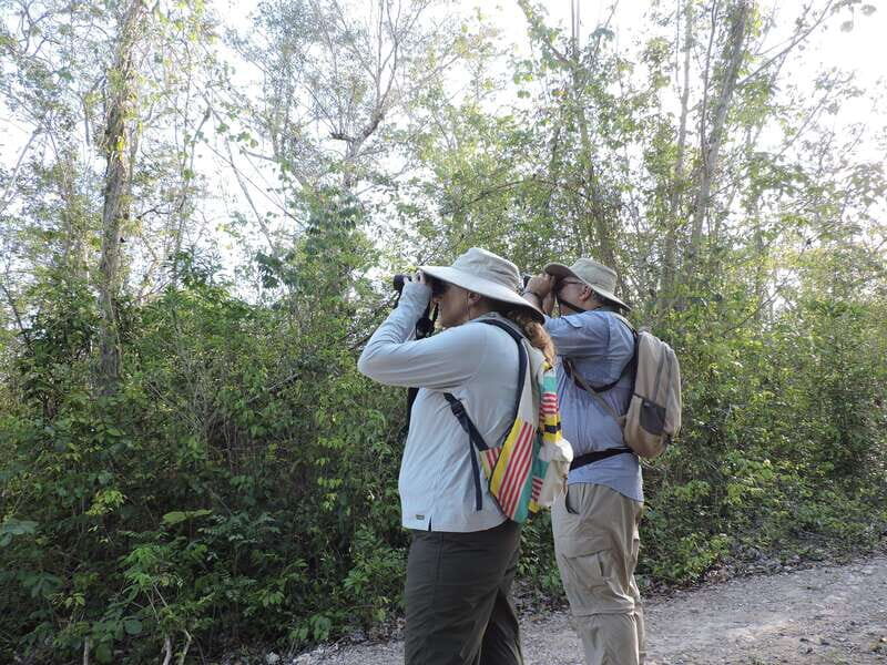Cancún: Guided Birdwatching Hike - Meeting in Cancún and heading out early