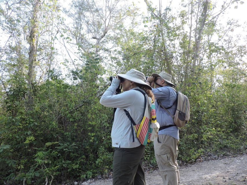 Cancún: Guided Birdwatching Hike - Why the small group size changes everything