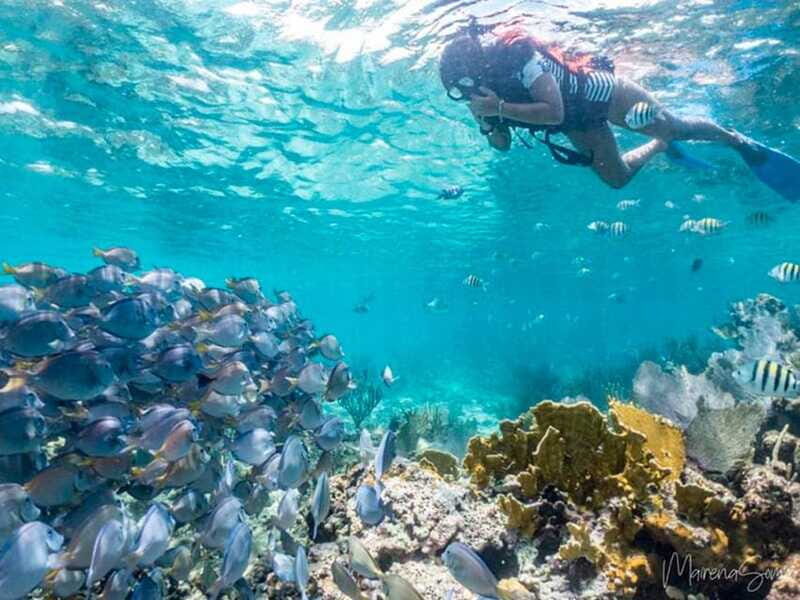 Cancun: Half Day Private Catamaran to Isla Mujeres - Practical tips to make this half-day feel effortless