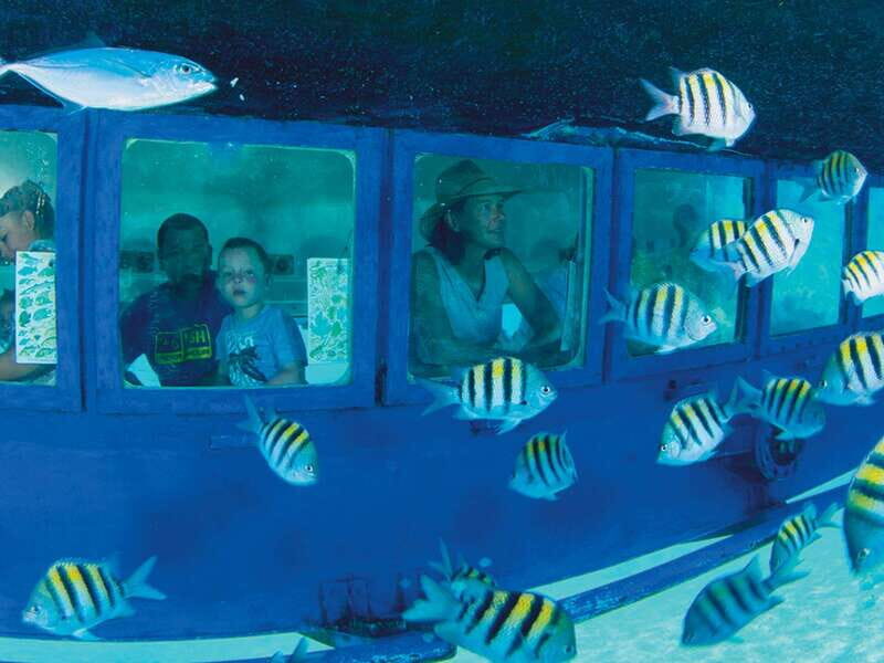 Cancún: Hop-on Hop-off Bus Tour with Submarine Trip - Why this bus-and-sub combo is smart value