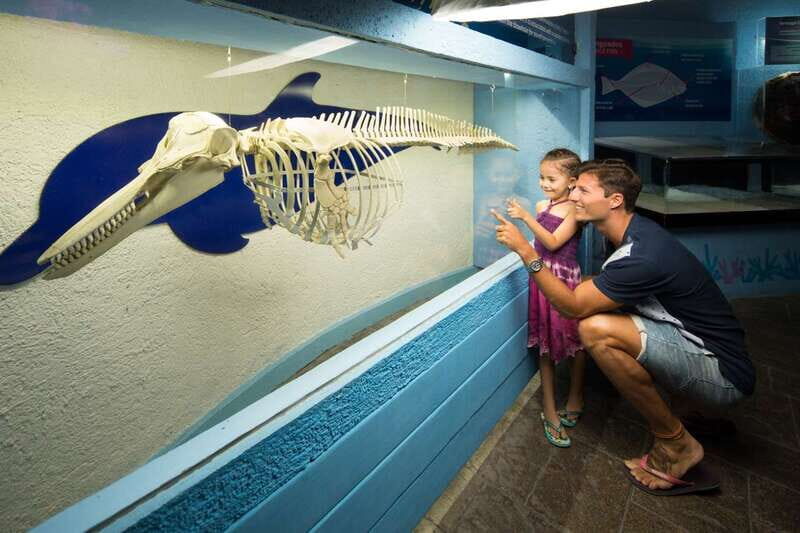 Cancún: Interactive Aquarium Admission - Entering the Interactive Aquarium at Plaza La Isla