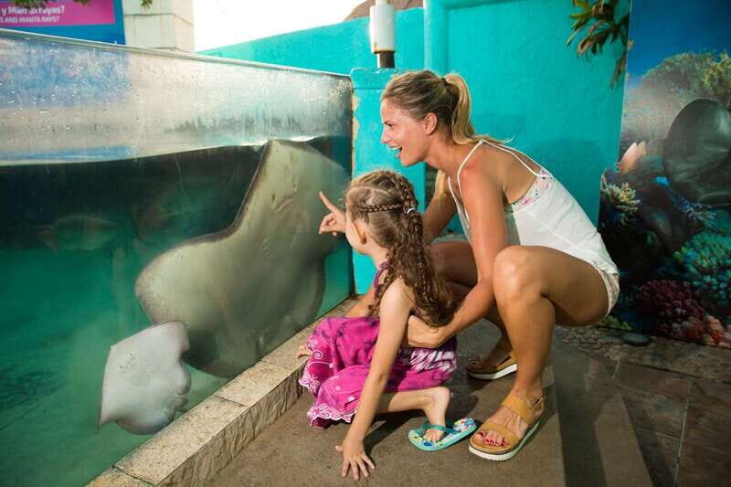 Cancún: Interactive Aquarium Admission - Your self-guided route through fish tanks and ecosystems