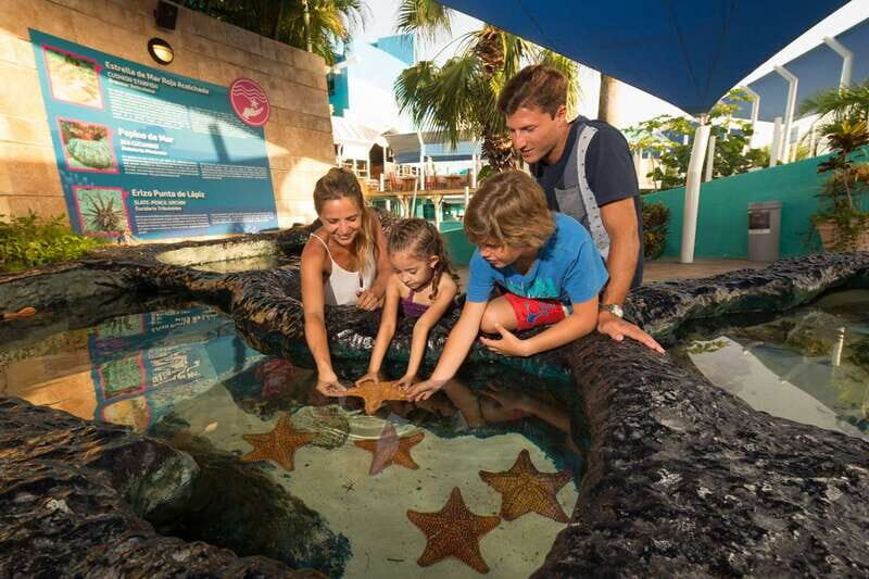 Cancún: Interactive Aquarium Admission - Touch tanks: the closest look at rays, starfish, and urchins