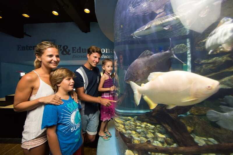 Cancún: Interactive Aquarium Admission - What’s included vs not included (so there are no surprises)
