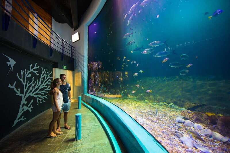 Cancún: Interactive Aquarium Admission - What to bring, what to wear, and quick on-site tips