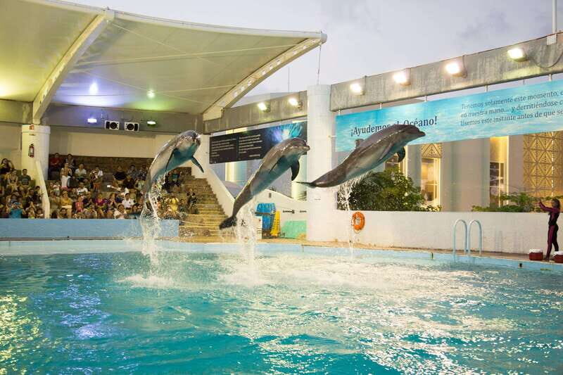 Cancún Interactive Aquarium Admission + Dolphin Presentation - Quick Hits Before You Go