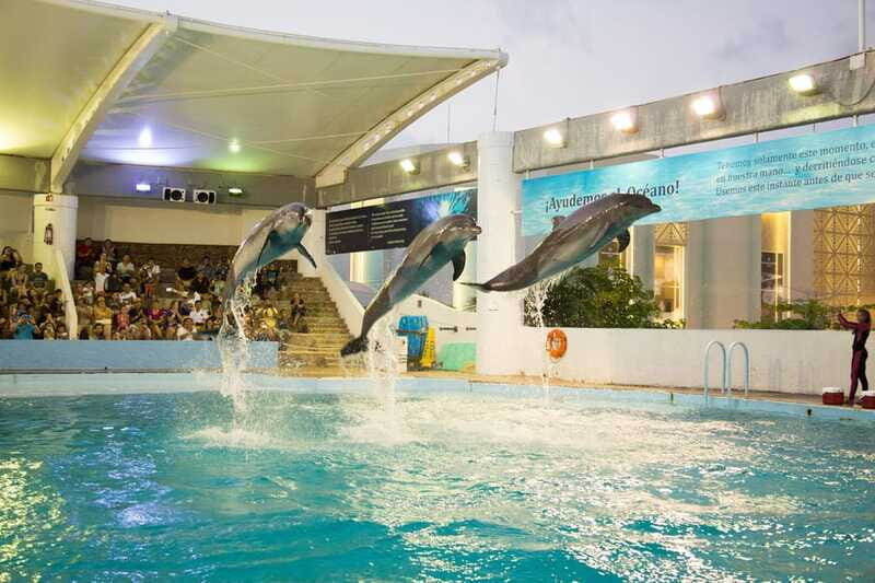 Cancún Interactive Aquarium Admission + Dolphin Presentation - Who Should Book This Aquarium and Dolphin Presentation