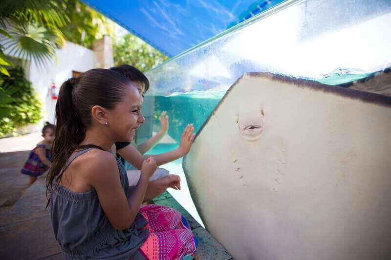 Cancún Interactive Aquarium Admission + Dolphin Presentation - Plaza La Isla Location and Getting There