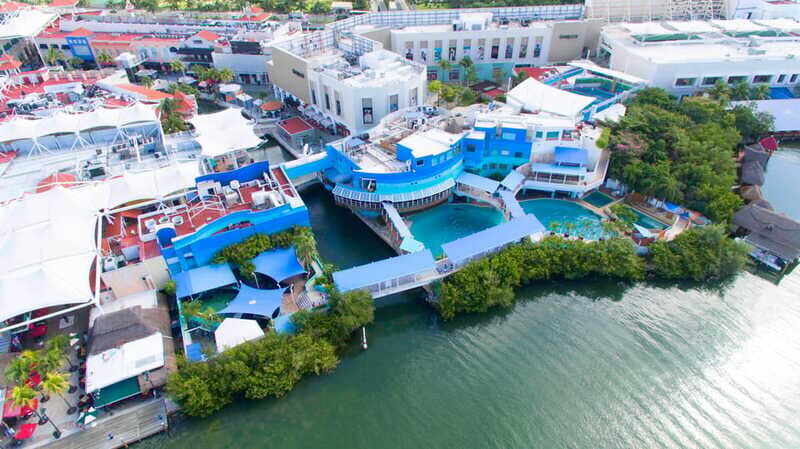Cancún Interactive Aquarium Admission + Dolphin Presentation - What You Can See: Rays, Starfish, urchins, and Coral Displays
