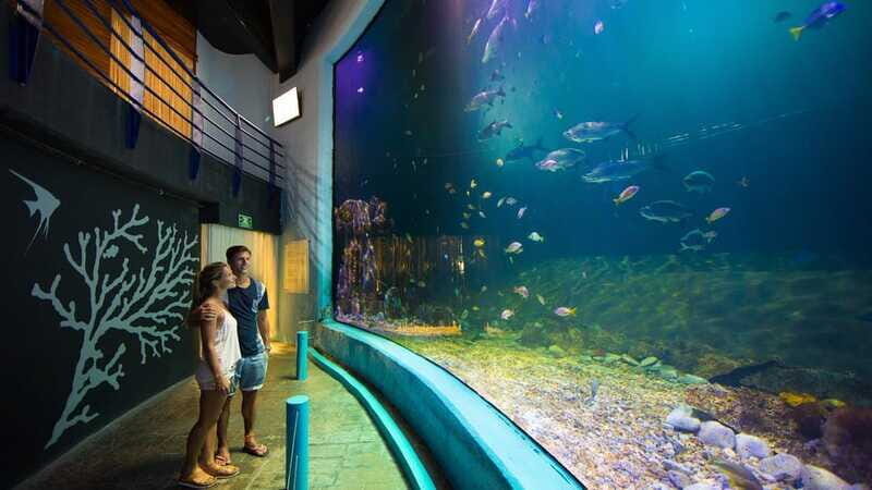 Cancún Interactive Aquarium Admission + Dolphin Presentation - Axolotl Exhibit and the iPad Zone: Learning Without the Pressure