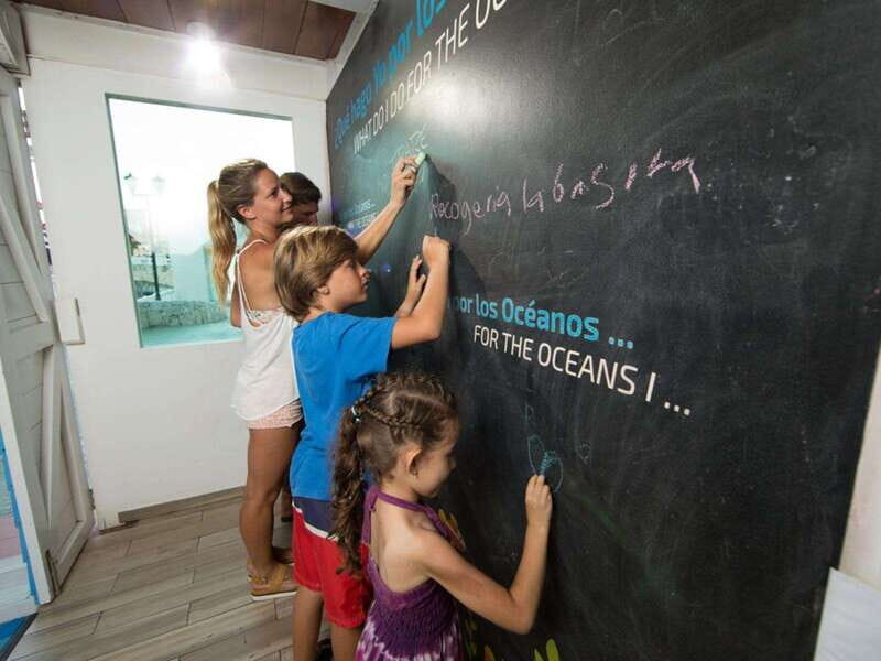 Cancún Interactive Aquarium Admission + Dolphin Presentation - Rules, Comfort, and Practical Tips