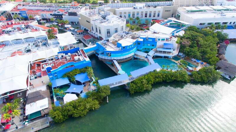 Cancún Interactive Aquarium Admission + Dolphin Presentation - Price and Value: What $26 Really Covers