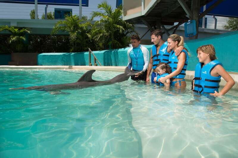 Cancun: Interactive Aquarium - Swim with Dolphins Splash - Key things to know before you go