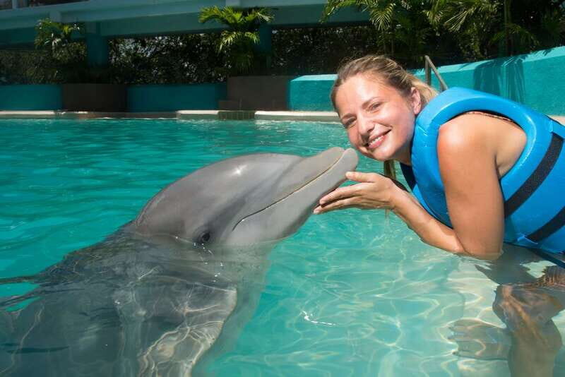Cancun: Interactive Aquarium - Swim with Dolphins Splash - The 20-minute swim with dolphins: what you’re really buying
