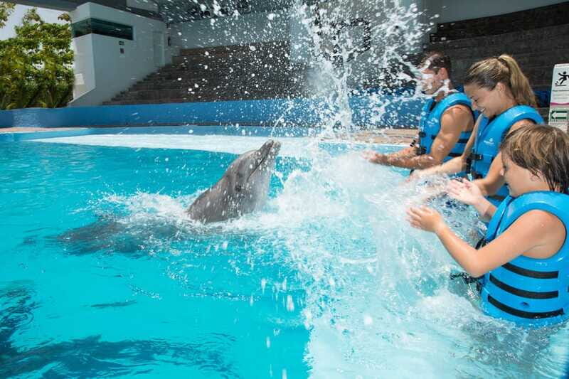 Cancun: Interactive Aquarium - Swim with Dolphins Splash - Who this is best for (and who should think twice)
