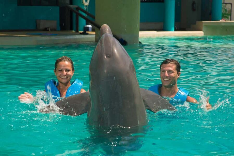 Cancun: Interactive Aquarium Ticket and Swim with Dolphins - Aquarium Admission and Dolphin Presentation: The Warm-Up Part