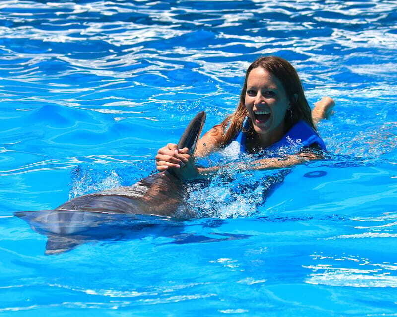 Cancun: Interactive Aquarium Ticket and Swim with Dolphins - Price and Value at $138 Plus the $50 MXN Aquatic Tax