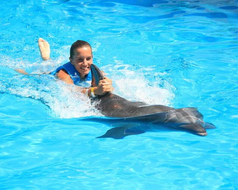 Cancun: Interactive Aquarium Ticket and Swim with Dolphins - What Makes This Dolphin Session Feel Different